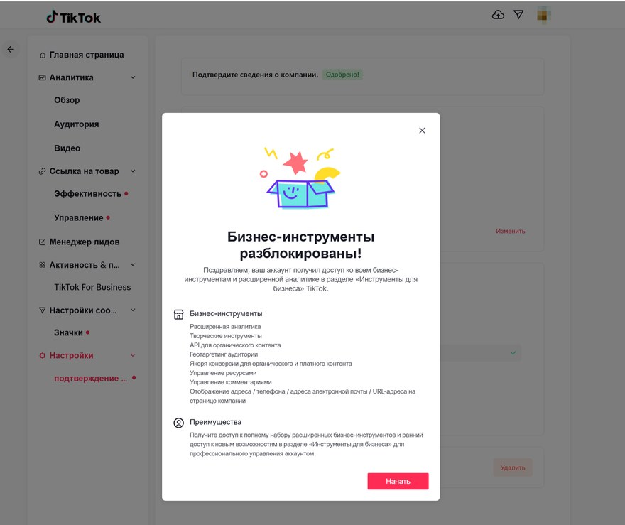 Верификация аккаунта в TikTok пройдена: сведения о компании одобрены и бизнес-инструменты разблокированы